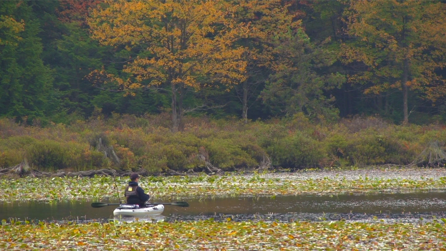 person kayaking along river surrounded by fall foliage