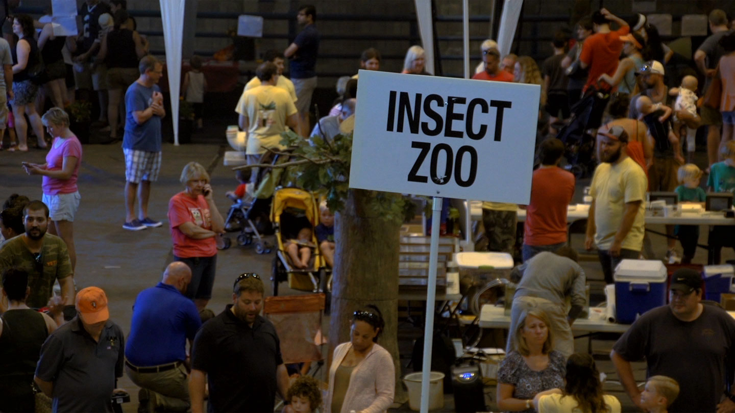 Group of people at an insect fair