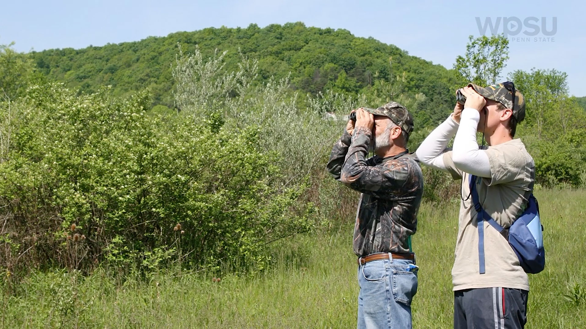 people looking for birds with binoculars