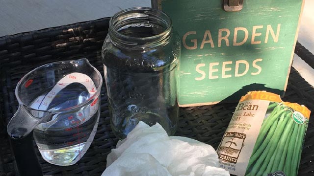 garden seeds