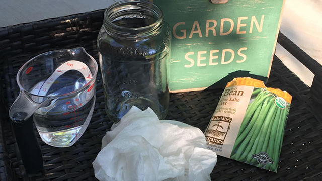 seeds, a jar, and cloth