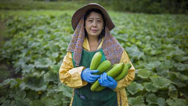 Immigrant farmer standing in field with picked crops