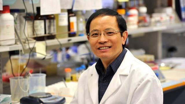 Professor Gong Chen, the Verne Willaman Chair of Life Sciences at Penn State