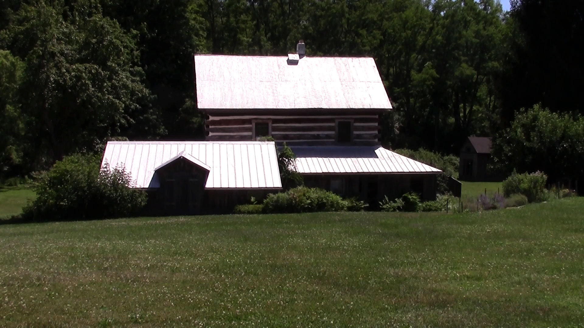 Chicory Lane Farm