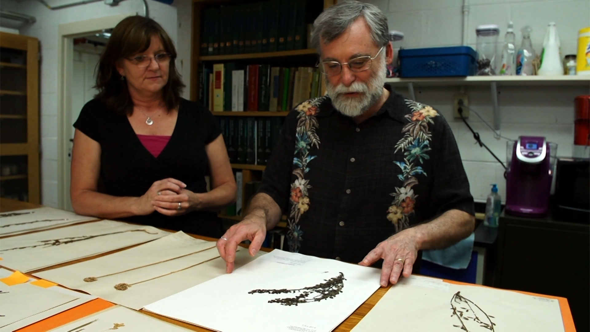 Botanists looking at plant samples