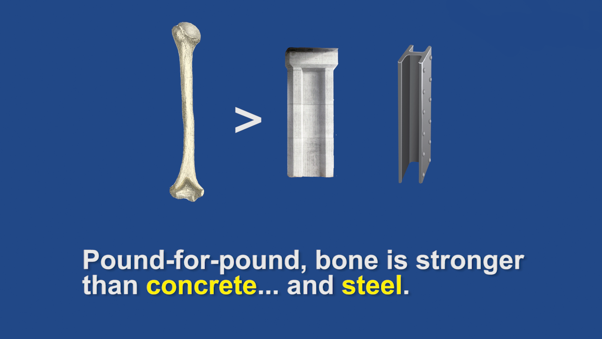bone is stronger than concrete and steel