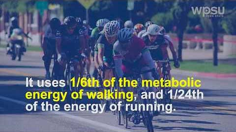 Bicycle Facts