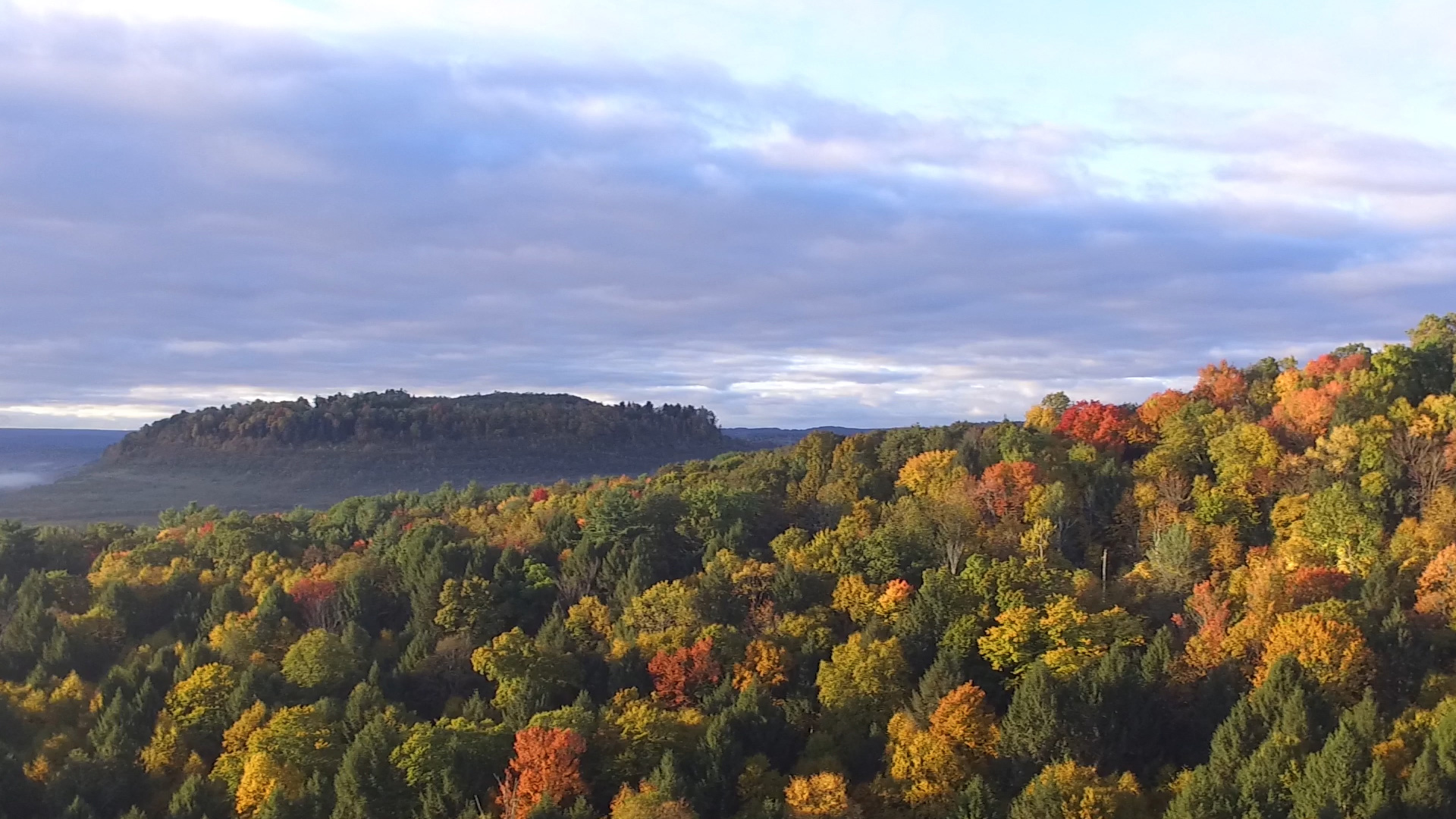 Moshannon Valley