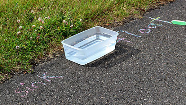 plastic bin filled with water