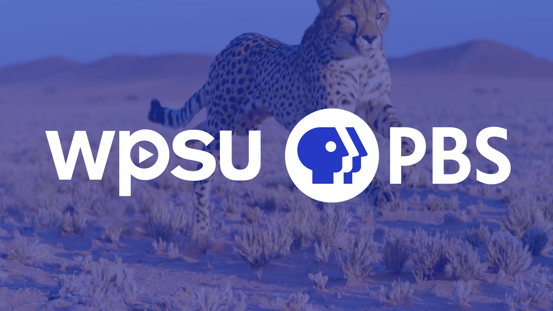 WPSU and PBS logos