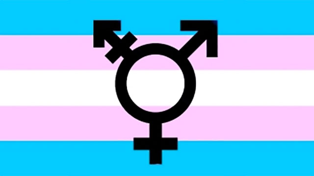 trans flag