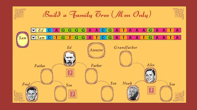 Family Tree Activity