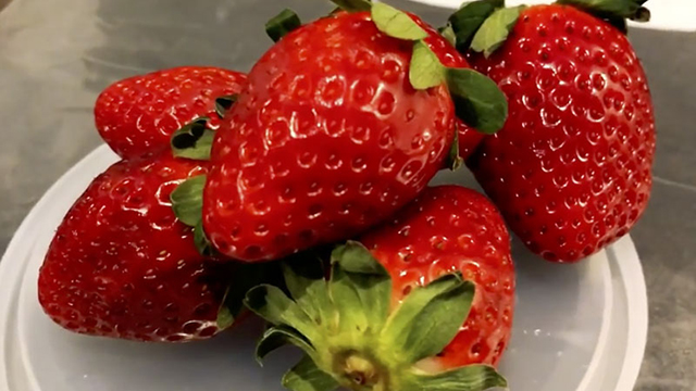 strawberries on a plate