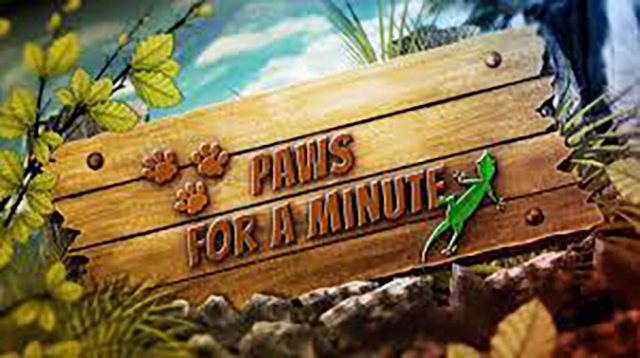 paws for a minute banner