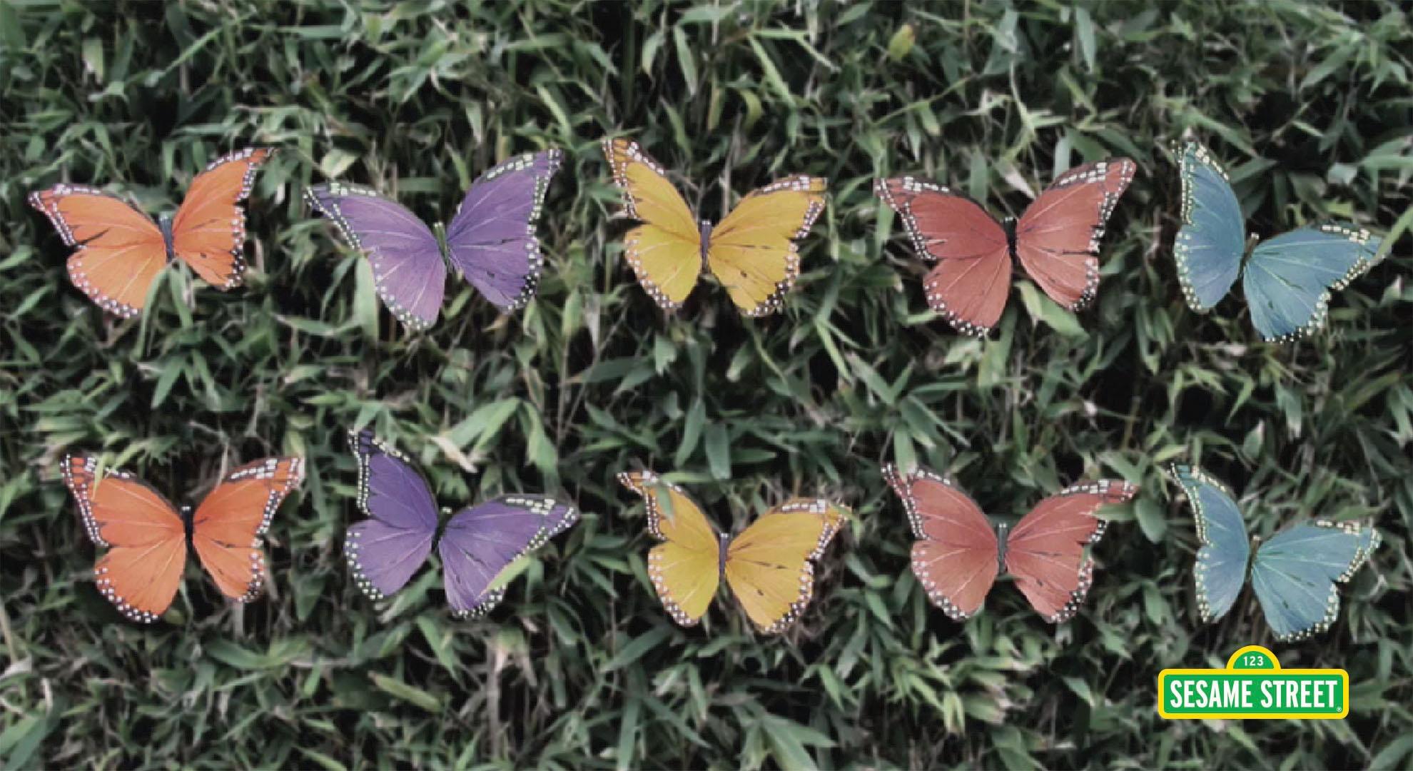 Colorful butterflies in groups of two