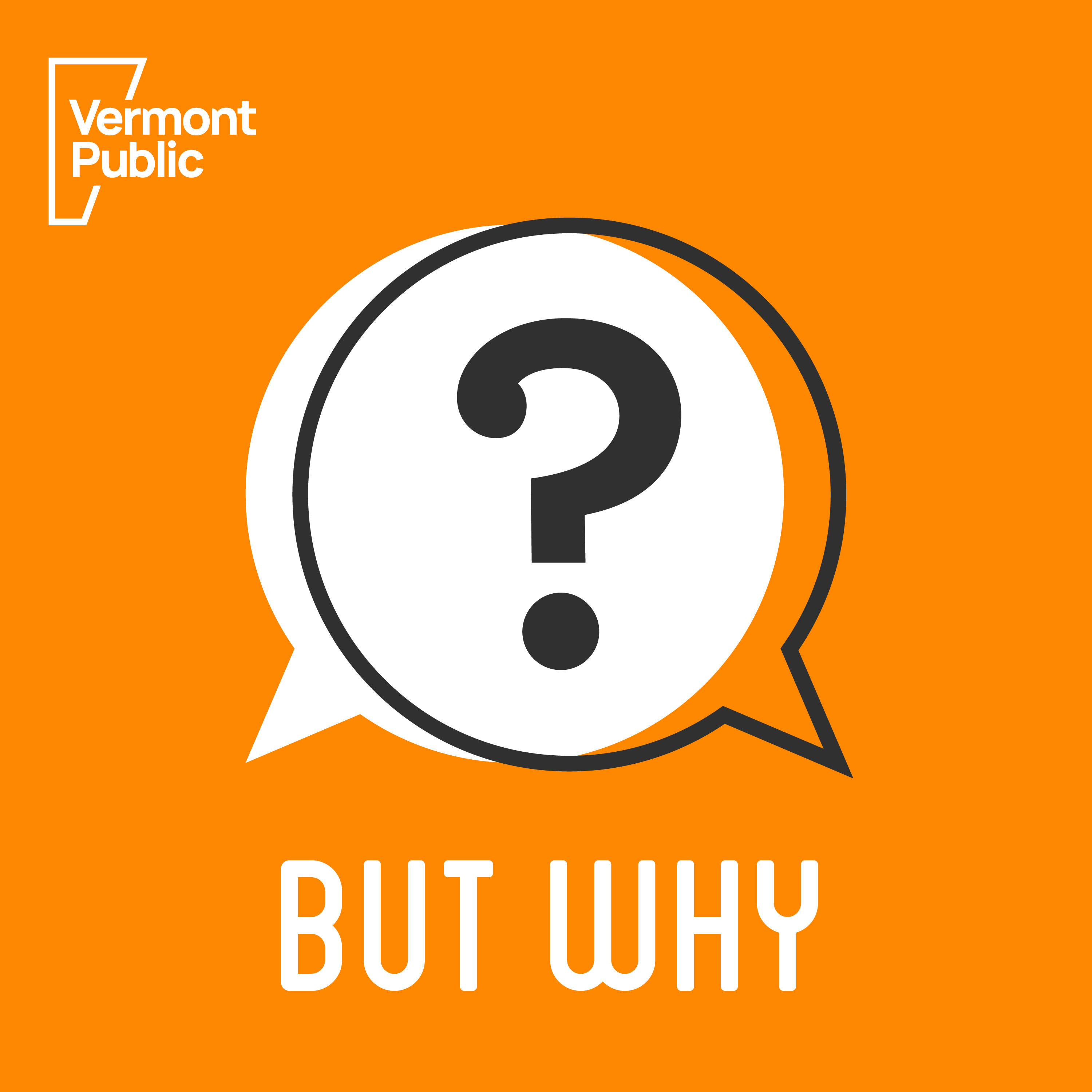 The words "But Why" on an orange background below speech bubbles.