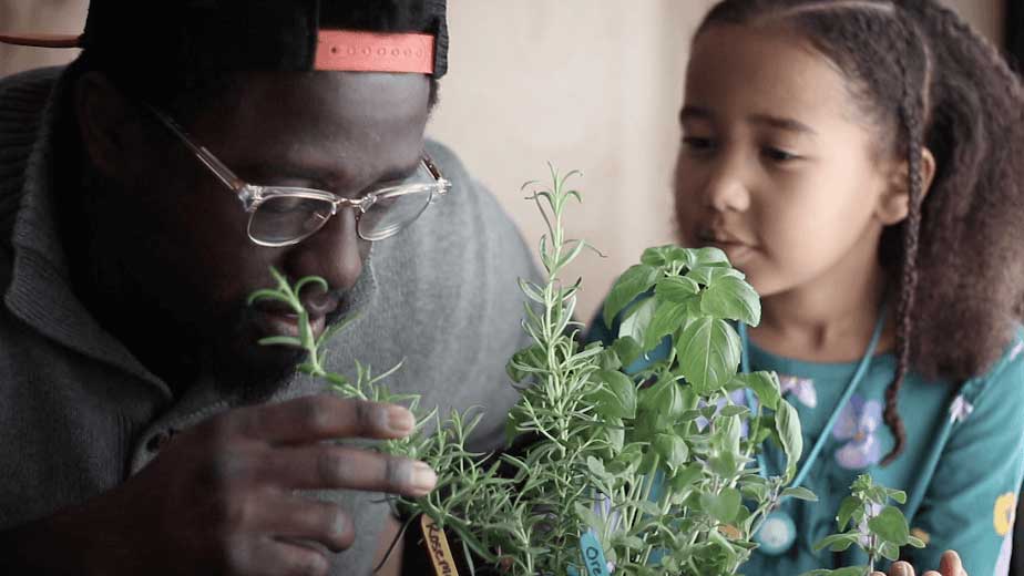 parent and child examining herb plant