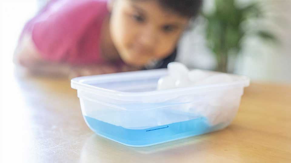 kid looking at liquid level in plastic container