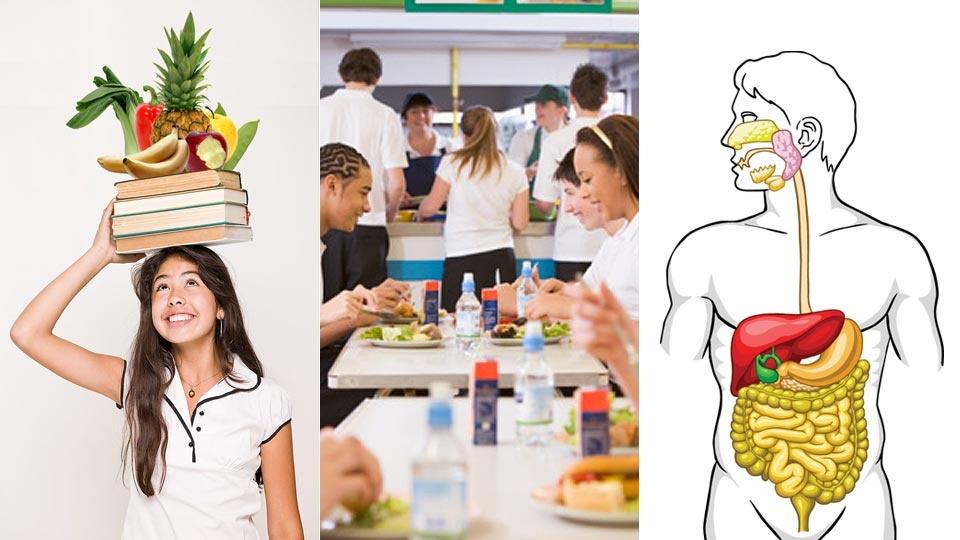 Three images of a woman holding books and food on her head, people eating in a cafeteria, and a drawn human body showing the digestive system.