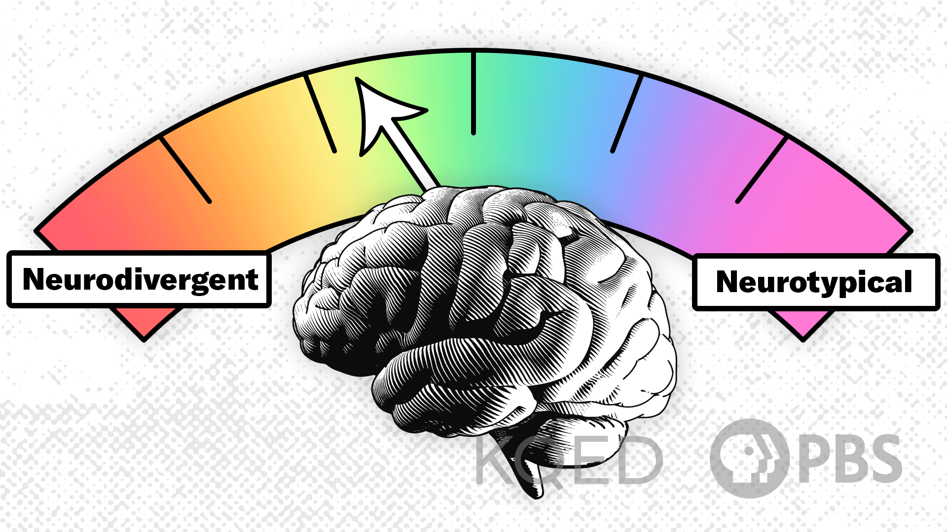 A graphic if a brain with an arrow pointing to a scale of neurodivergent to neurotypical.