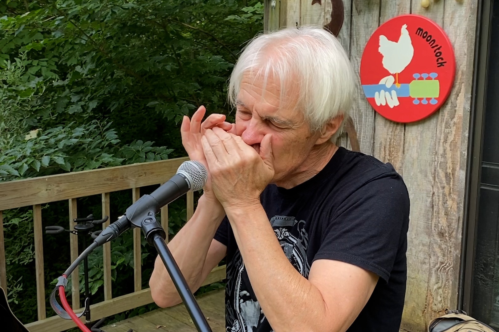Musician Richard Sleigh performing with a harmonica on a backyard stage.