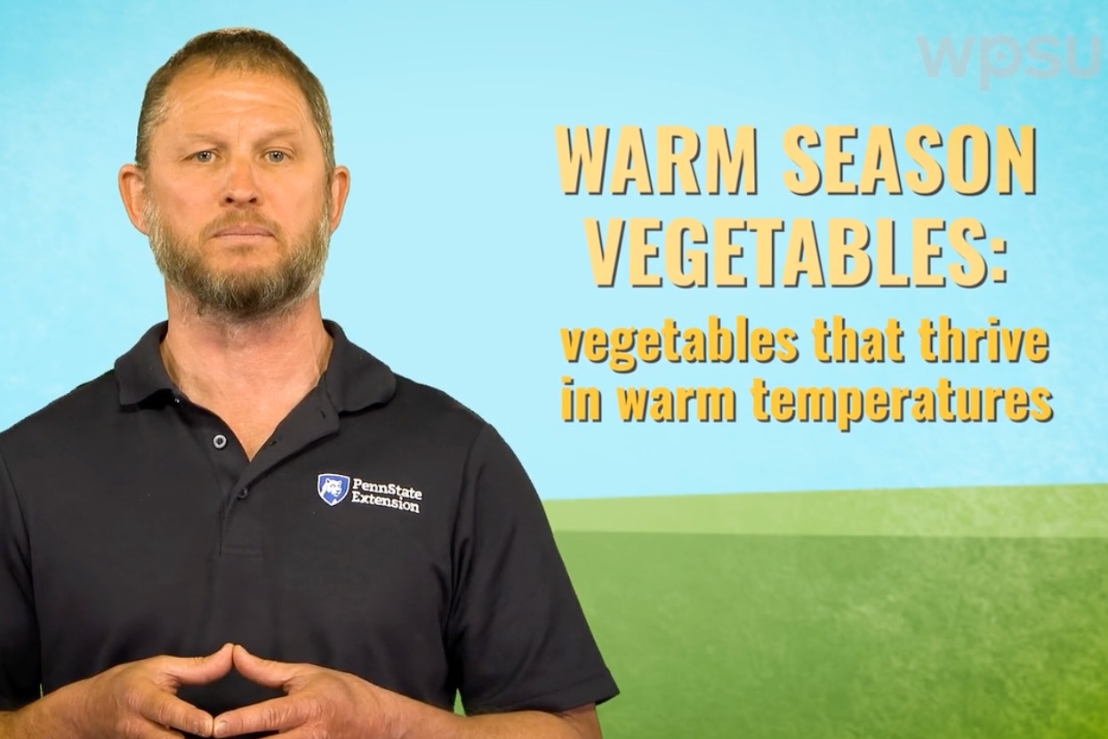 Garden expert Tom Butzler standing against an illustrated background that says "Warm Season Vegetables"