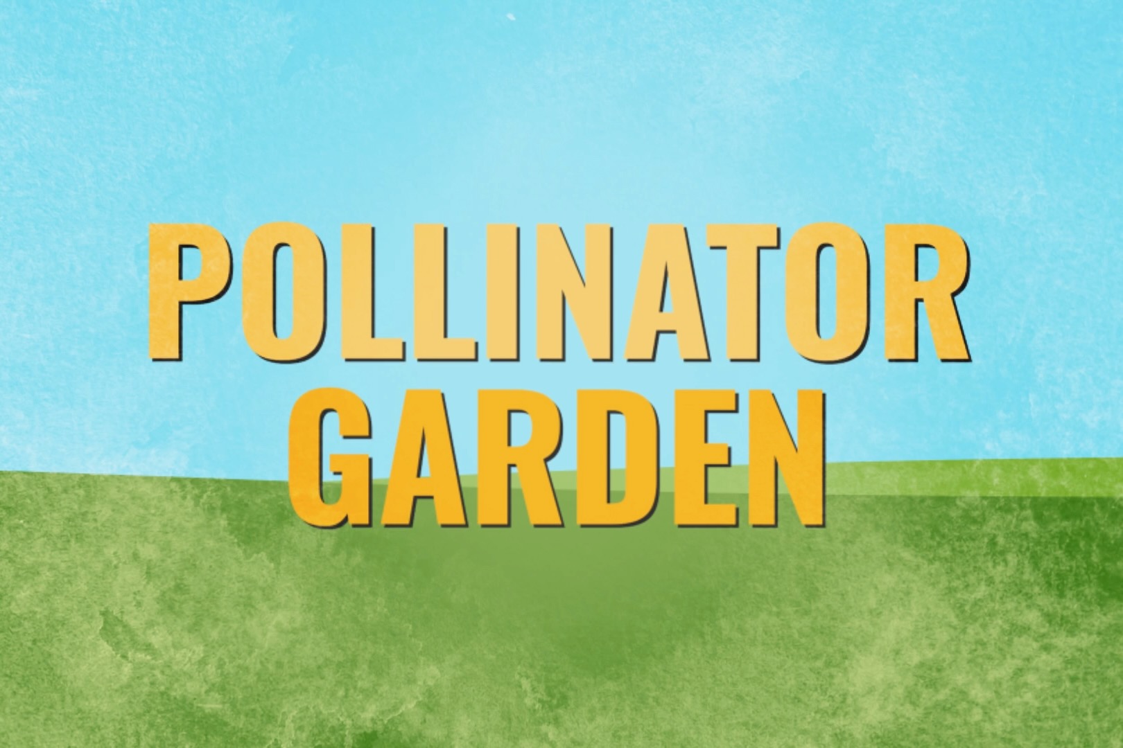 Illustrated green grass and blue sky with the words "pollinator garden" in large yellow font.