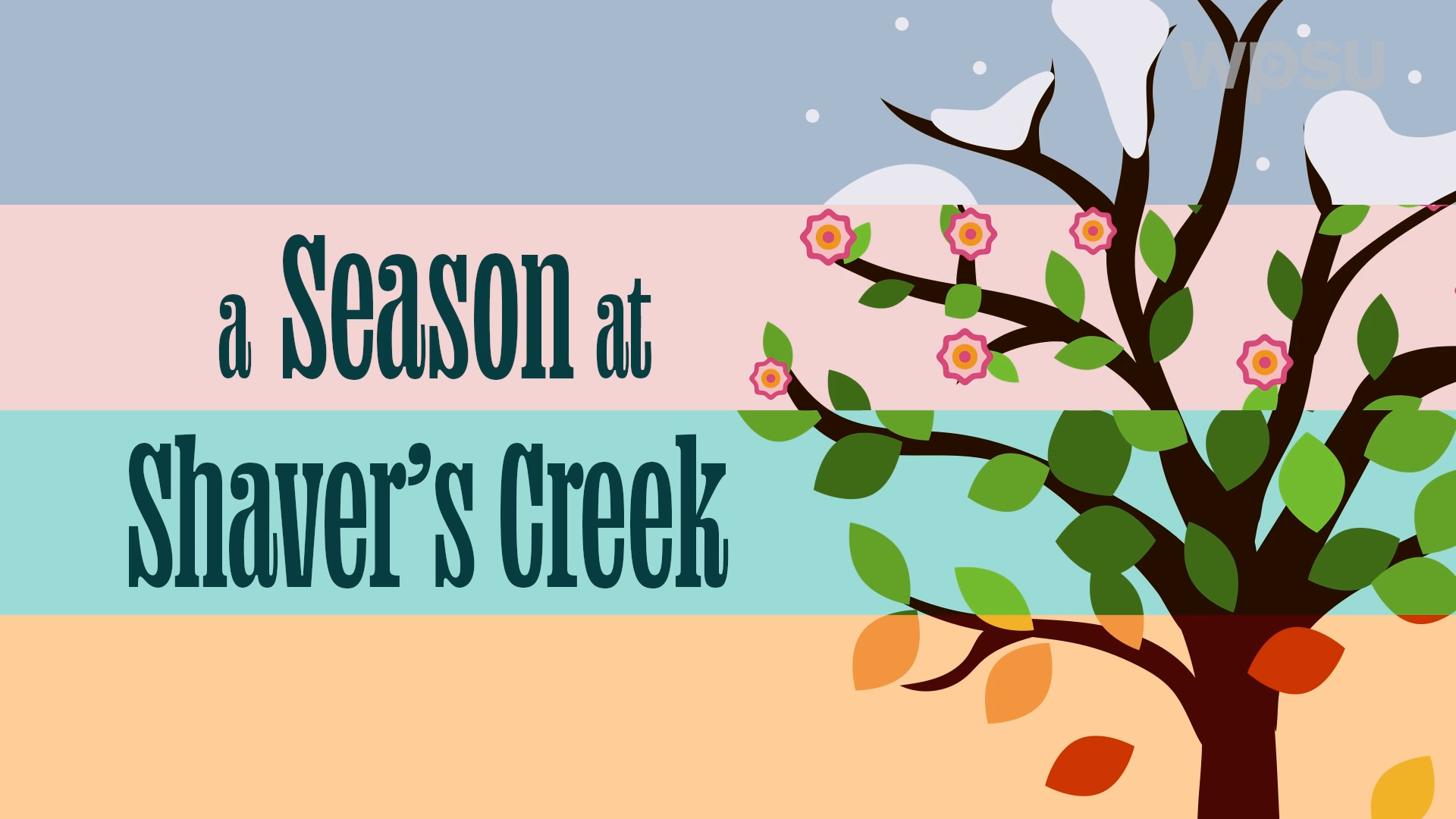 A cartoon tree on a multi-colored background with "A Season at Shaver's Creek" in large text in the foreground.