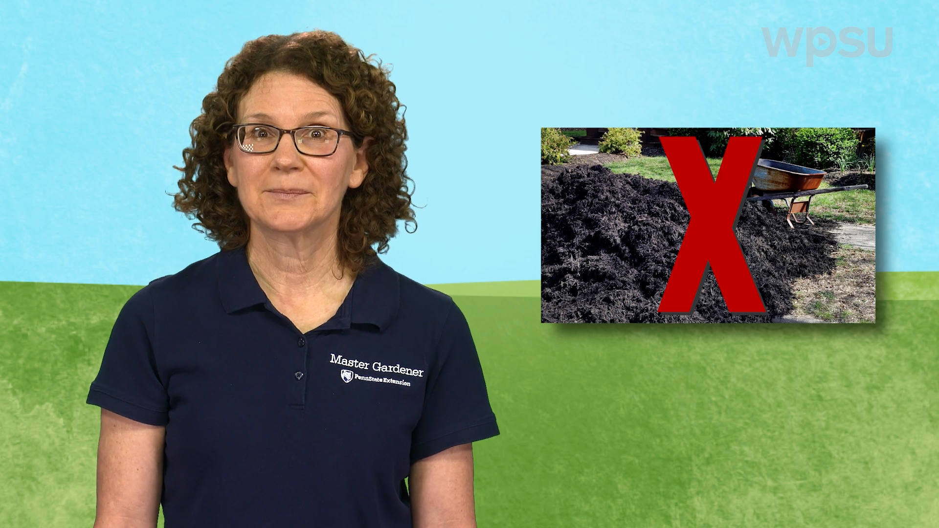 Host Lisa Schneider standing in front of a blue and green background.