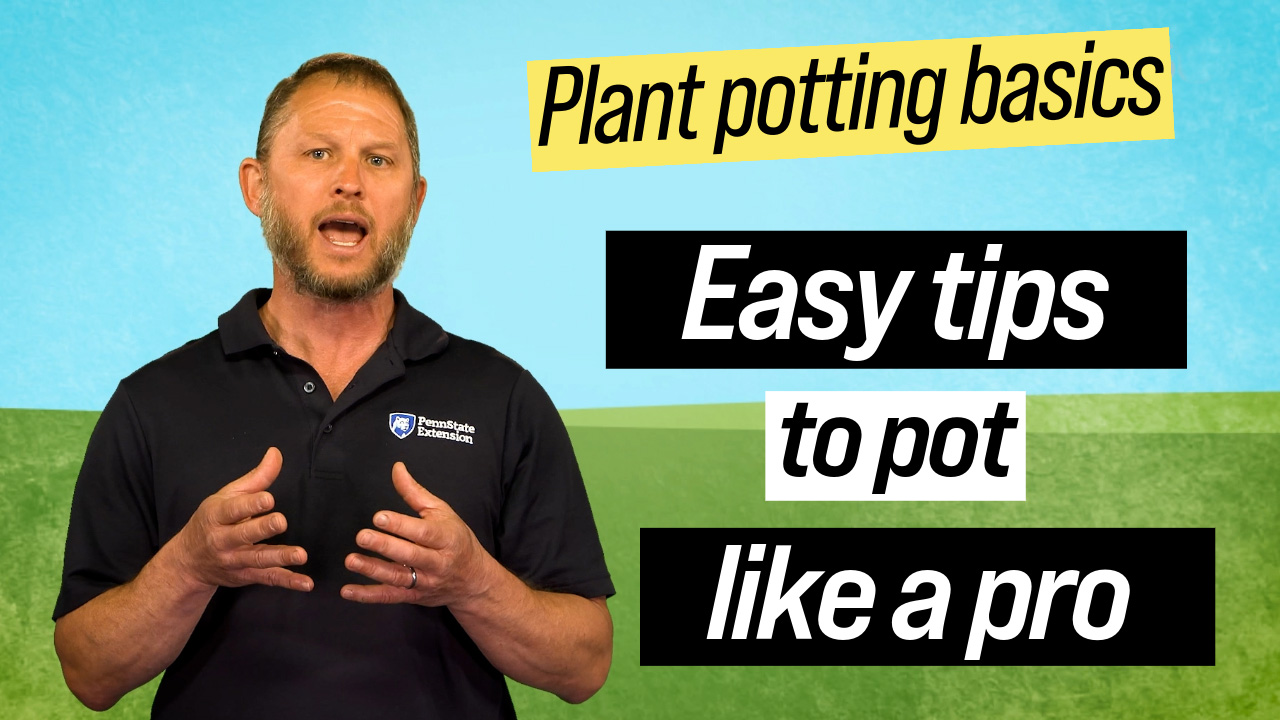 Host Tom Butzler in front of a green and blue background, with the words "Plant potting basics: Easy tips to pot like a pro"