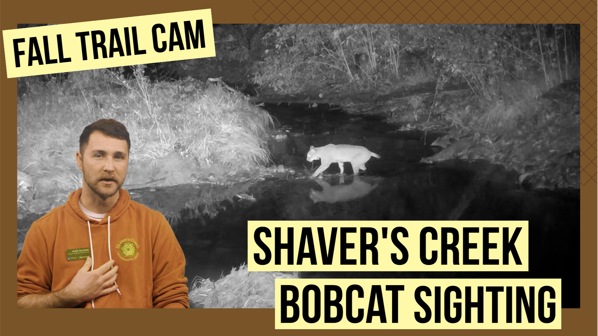 Host Alex Suleski in front of footage of a bobcat crossing water at Shaver's Creek Environmental Center