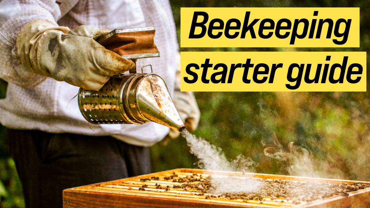 A photograph of a beekeeper spraying smoke on a beehive.