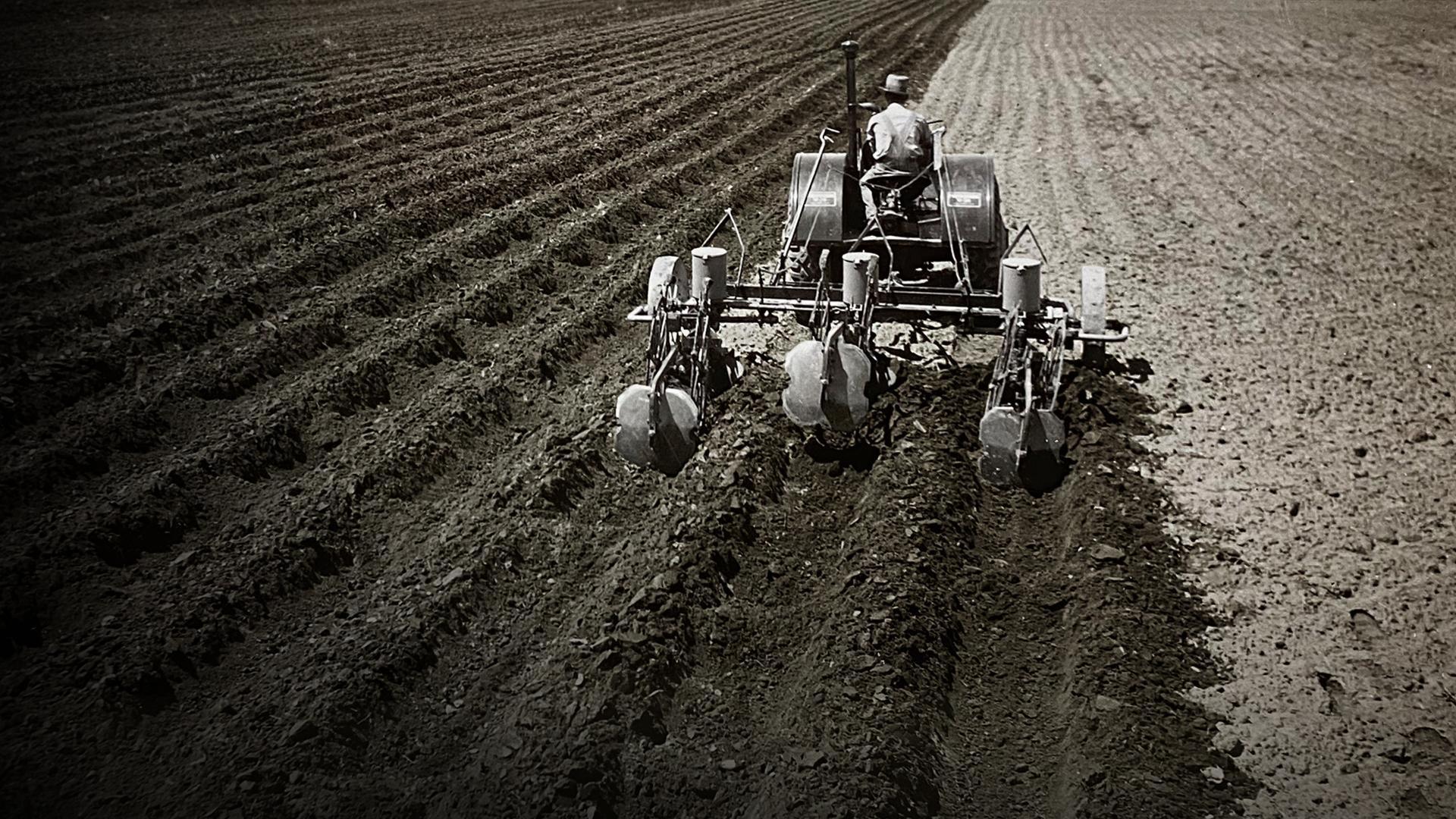 Tractor tilling a field.