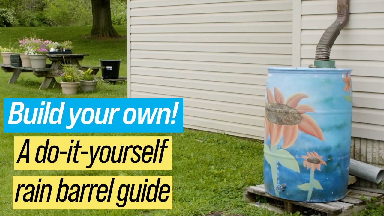 A photo of a rain barrel with a large flower painted on the side.